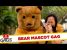 A Proper Bear Scare – JFL Gags Asia Edition