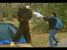Bear Attack Prank