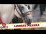 Best Horse Pranks – Best of Just For Laughs Gags