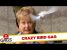 Birds Attacking People – Just For Laughs Gags