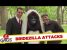 Bridezilla? No, just Gorilla Bride – Just For Laughs Gags