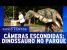 Câmera Escondida (16/10/16) – Dinossauro no Parque