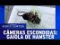 Câmera Escondida (16/10/16) – Gaiola de Hamster