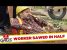 Construction Worker Sawed in Half – Just for Laughs Gags