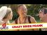 Crazy Bride Pushes Homeless Man Into Water Prank – Just For Laughs Gags