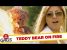 Evil Teddy Ruins Birthday Party! – Just For Laughs Gags