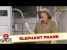 Explosive Elephant Prank