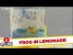 Frog in Lemonade Hidden Camera Prank