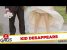 Kid Disappears Under Wedding Dress – Just For Laughs Gags