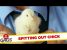 Man Spits Out Live Baby Chick! – Just For Laughs Gags