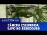 Programa Silvio Santos (04/09/16) – Sapo no Bebedouro