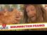 Resurrected Animals Pranks – Best of Just For Laughs Gags