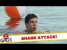 Shark Attack!! – Just For Laughs Gags