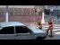 Gatas fazem strip tease para ganhar trocado no semáforo