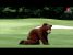 Bear on the Golf Course