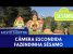 Fazendinha Sésamo – Sesame Street Hidden Camera | Câmeras Escondidas (13/10/19)