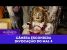 Invocação do Mal 4: O Último Ritual | Câmeras Escondidas (31/08/25) – The Conjuring 4 prank